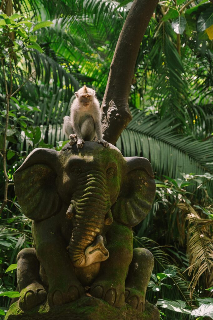 3bum-683x1024 A Tale of Unlikely Friendship and Jungle Adventures