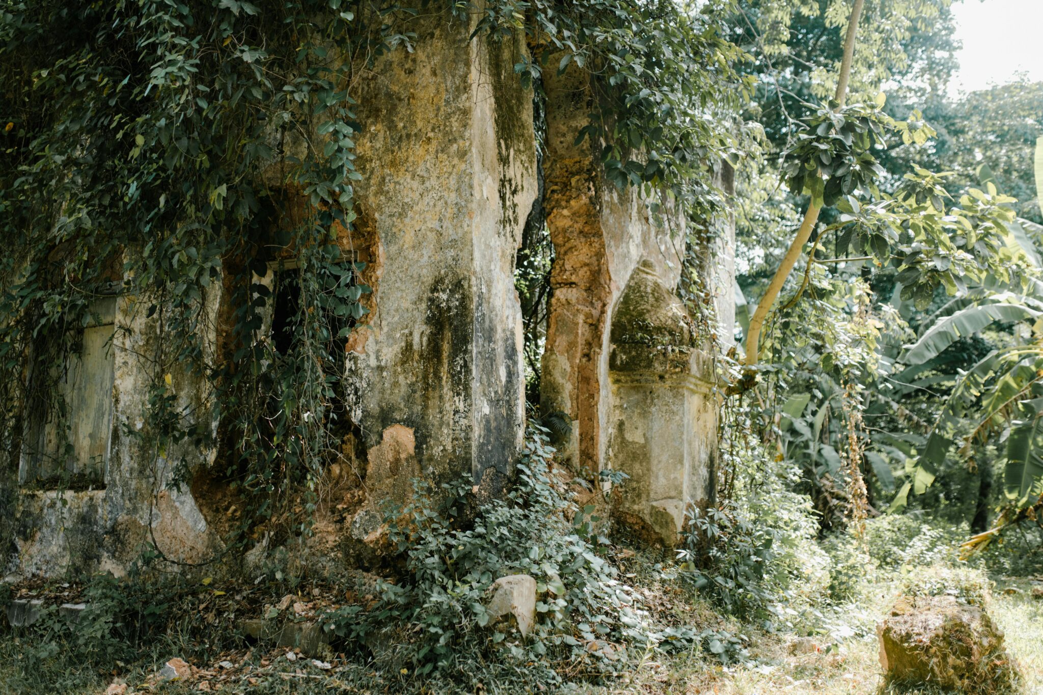 6bum-2048x1365 A Tale of Unlikely Friendship and Jungle Adventures